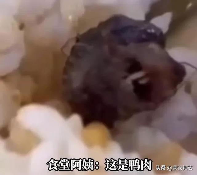 今日新菜：鼠头鸭脖，有嘴有牙还有毛，你真敢吃吗？-2.jpg