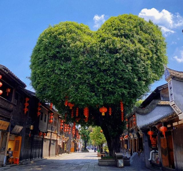 比厦门舒适，比泉州安静，福建冷门的小城市，来过的人评价好高-5.jpg
