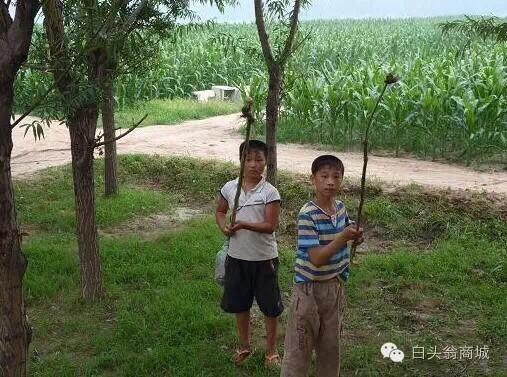 一波回忆杀！致80后逝去的青春！看完泪流满面！-40.jpg
