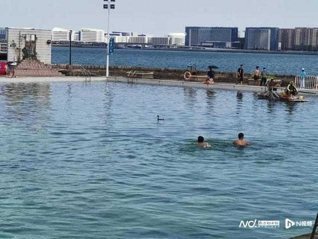 捉鸭子、包粽子、点雄黄！海峡两岸赛龙舟背后的闽南端午文化-3.jpg