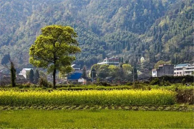 农村的18个风俗，你知道几个吗？-1.jpg