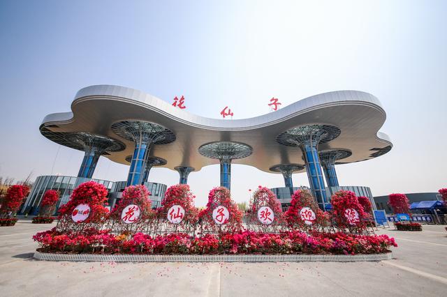 “网红打卡地”“婚拍圣地”！日照花仙子生态旅游区开园-4.jpg
