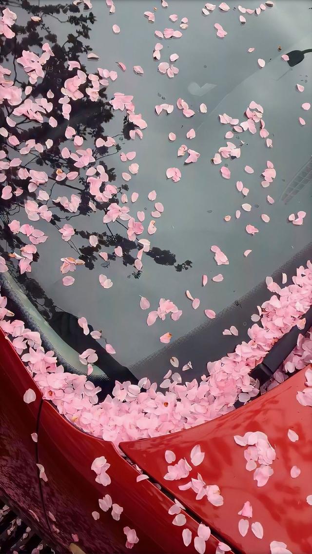 生活无烦恼，婚姻很幸福的三大星座女-2.jpg