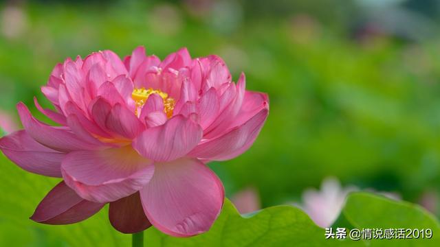 人间最美的婚姻状态，就是相配相互，成全你的好-1.jpg