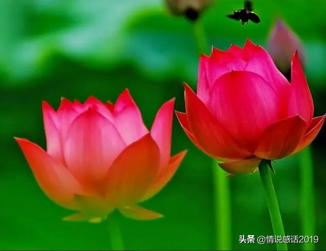 人间最美的婚姻状态，就是相配相互，成全你的好-2.jpg