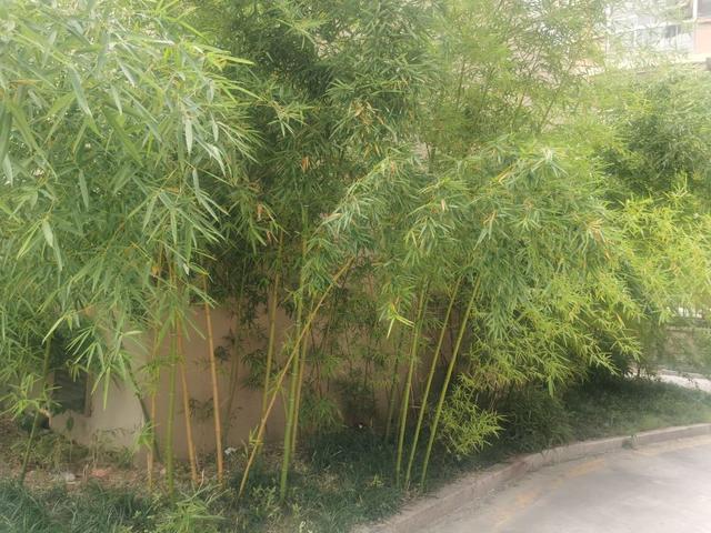 婚姻最好的样子——处处有情-4.jpg