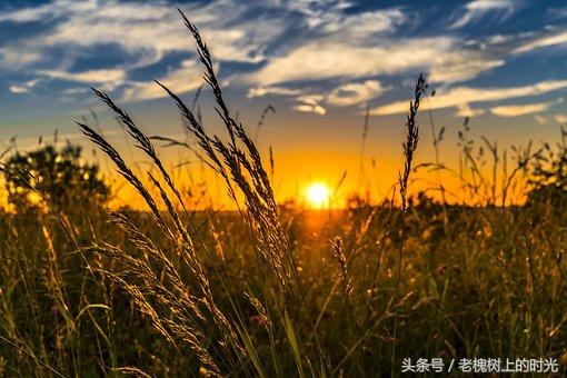 婚姻最美好的样子-8.jpg