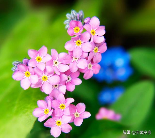 让人甜到无法呼吸的爱情句子，美好的婚姻就从这一刻开始-1.jpg