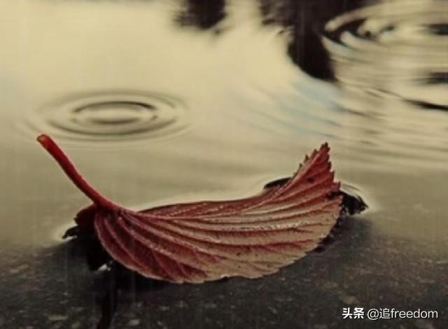 结婚的意义是什么？这是我听过最真的答案-5.jpg