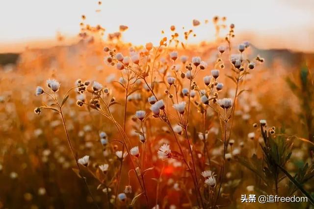 结婚的意义是什么？这是我听过最好的答案-6.jpg