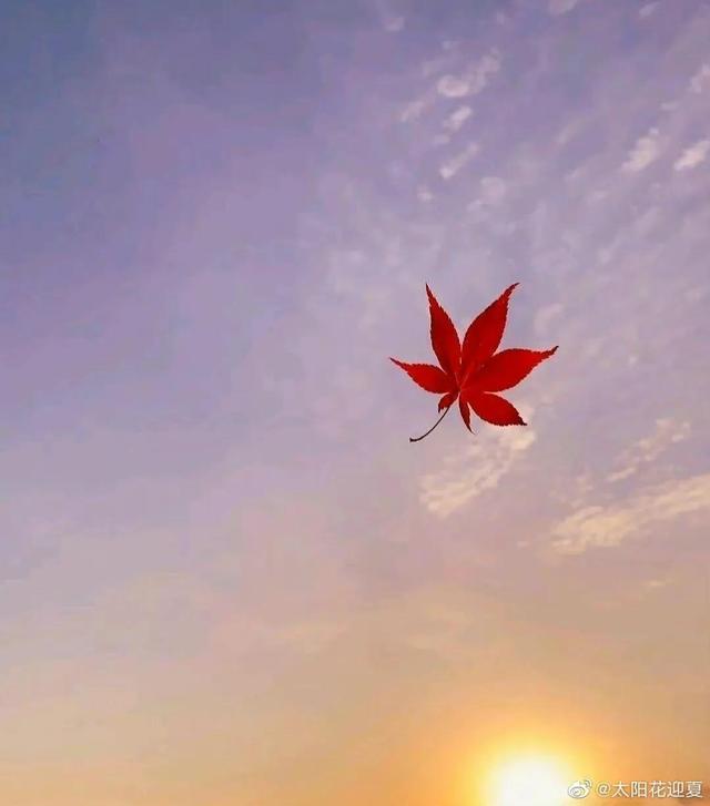 杨绛先生：夫妻久了，全靠良心-9.jpg