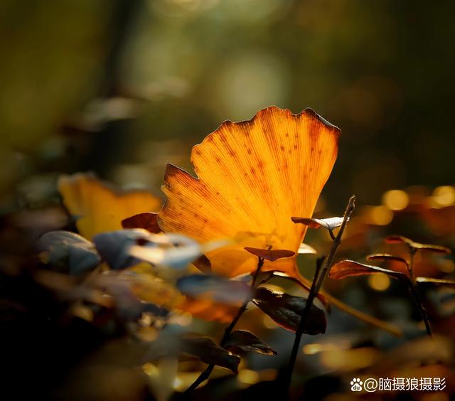 杨绛先生：灵魂生来孤独，一旦被解读，便遇到了劫数-3.jpg