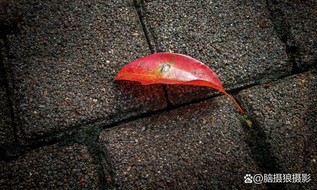 杨绛先生：灵魂生来孤独，一旦被解读，便遇到了劫数-4.jpg