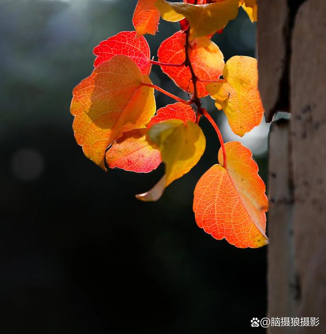 杨绛先生：灵魂生来孤独，一旦被解读，便遇到了劫数-7.jpg