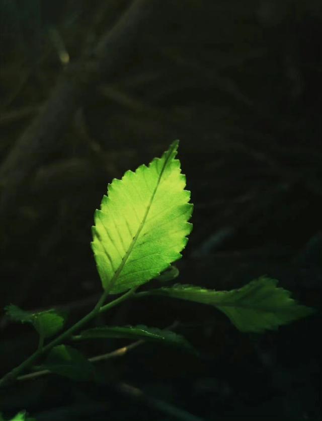 面临即将离婚的局面，做好这5点，可以挽救走向陌路的婚姻-5.jpg