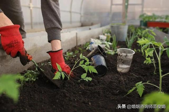 14天，挽回坚决逼离婚的妻子，真实案例告诉你挽回婚姻没那么难-9.jpg