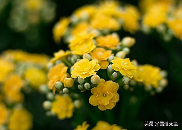无论夫妻感情是深是浅，做到下面几点，婚姻不会太差-2.jpg