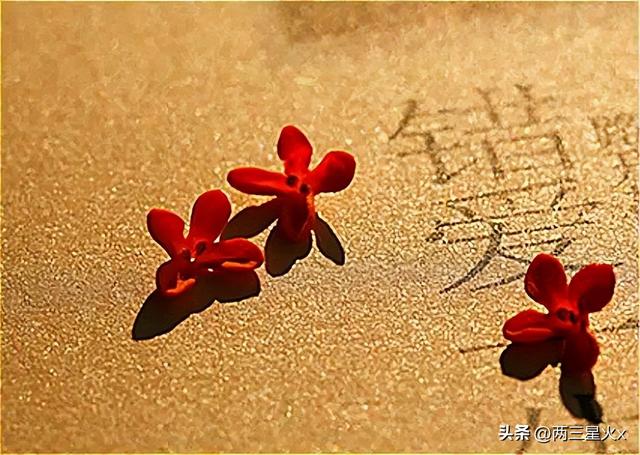 夫妻‘缘尽’前，通常会出现这10种迹象，看看你中了几条？-1.jpg