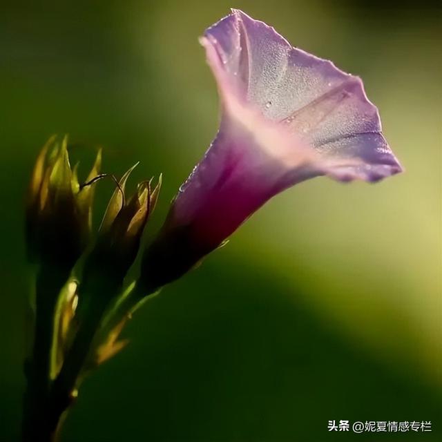 夫妻之间一旦有四个征兆，说明缘分已尽，婚姻只剩一张纸-4.jpg