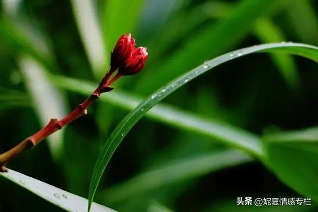 夫妻之间一旦有四个征兆，说明缘分已尽，婚姻只剩一张纸-2.jpg