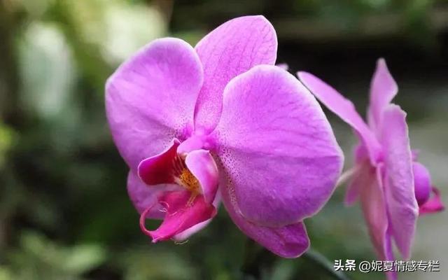夫妻之间一旦有四个征兆，说明缘分已尽，婚姻只剩一张纸-3.jpg