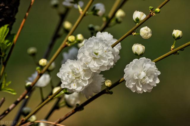 夫妻缘尽会有的征兆，别再相互折磨-4.jpg