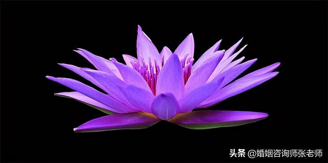 怎么挽救破裂的婚姻？千万不要死缠烂打，做到这六点胜过千言万语-1.jpg