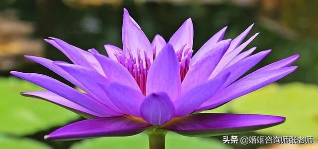 怎么挽救破裂的婚姻？千万不要死缠烂打，做到这六点胜过千言万语-2.jpg