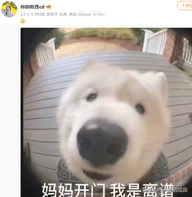 2023年还不到半个月，娱乐圈已有8个桃色瓜，戏骨顶流都在-48.jpg