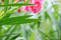 data/attachment/forum/threadcover/a7/6d/4062.jpg